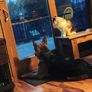 Meet your Posher, Sherri